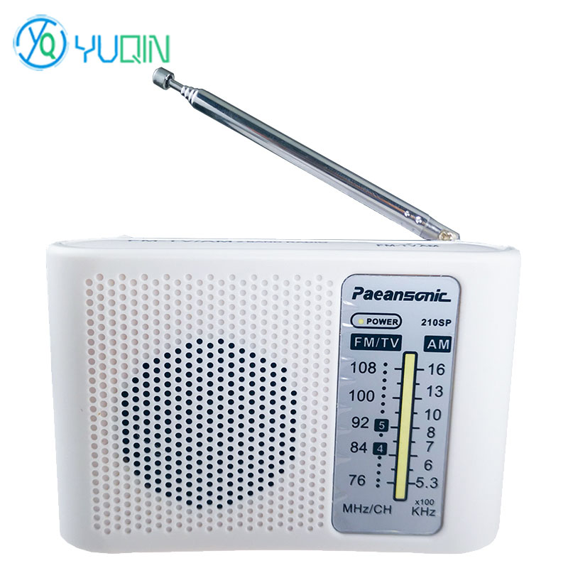 210SP AM/FM Radio Kit DIY Elec - Diy Electronics Projects For Adults ulasan dan harga